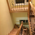 Массив сосны , ясеня , дуба . Московская область , Раменский район , г.Раменское.