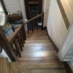 Массив сосны , ясеня , дуба . Московская область , Раменский район , г.Раменское.