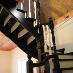 Массив сосны , ясеня , дуба . Московская область , Раменский район , г.Раменское.