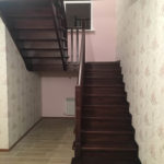 Массив сосны , ясеня , дуба . Московская область , Раменский район , г.Раменское.