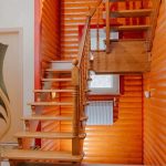 Массив сосны , ясеня , дуба . Московская область , Раменский район , г.Раменское.