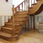 Массив сосны , ясеня , дуба . Московская область , Раменский район , г.Раменское.