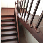 Массив сосны , ясеня , дуба . Московская область , Раменский район , г.Раменское.