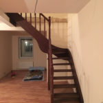 Массив сосны , ясеня , дуба . Московская область , Раменский район , г.Раменское.