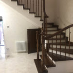 Массив сосны , ясеня , дуба . Московская область , Раменский район , г.Раменское.