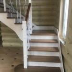 Массив сосны , ясеня , дуба . Московская область , Раменский район , г.Раменское.