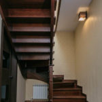 Массив сосны , ясеня , дуба . Московская область , Раменский район , г.Раменское.