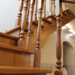 Массив сосны , ясеня , дуба . Московская область , Раменский район , г.Раменское.