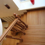 Массив сосны , ясеня , дуба . Московская область , Раменский район , г.Раменское.