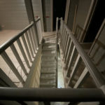 Массив сосны , ясеня , дуба . Московская область , Раменский район , г.Раменское.