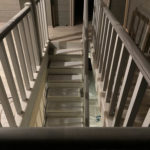 Массив сосны , ясеня , дуба . Московская область , Раменский район , г.Раменское.