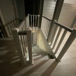 Массив сосны , ясеня , дуба . Московская область , Раменский район , г.Раменское.