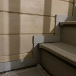 Массив сосны , ясеня , дуба . Московская область , Раменский район , г.Раменское.